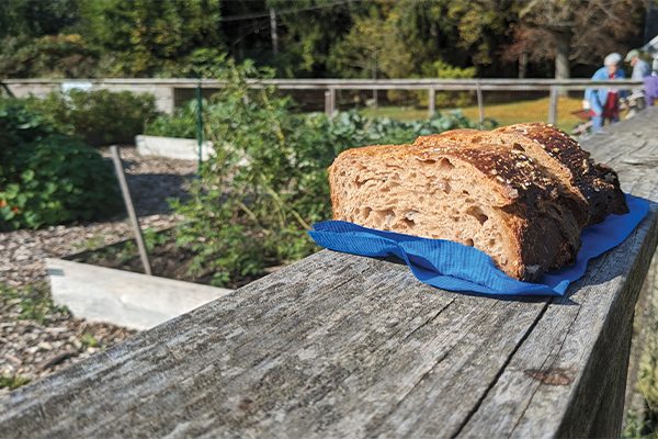 A Lutheran Church Tried to Grow Their Own Communion Bread